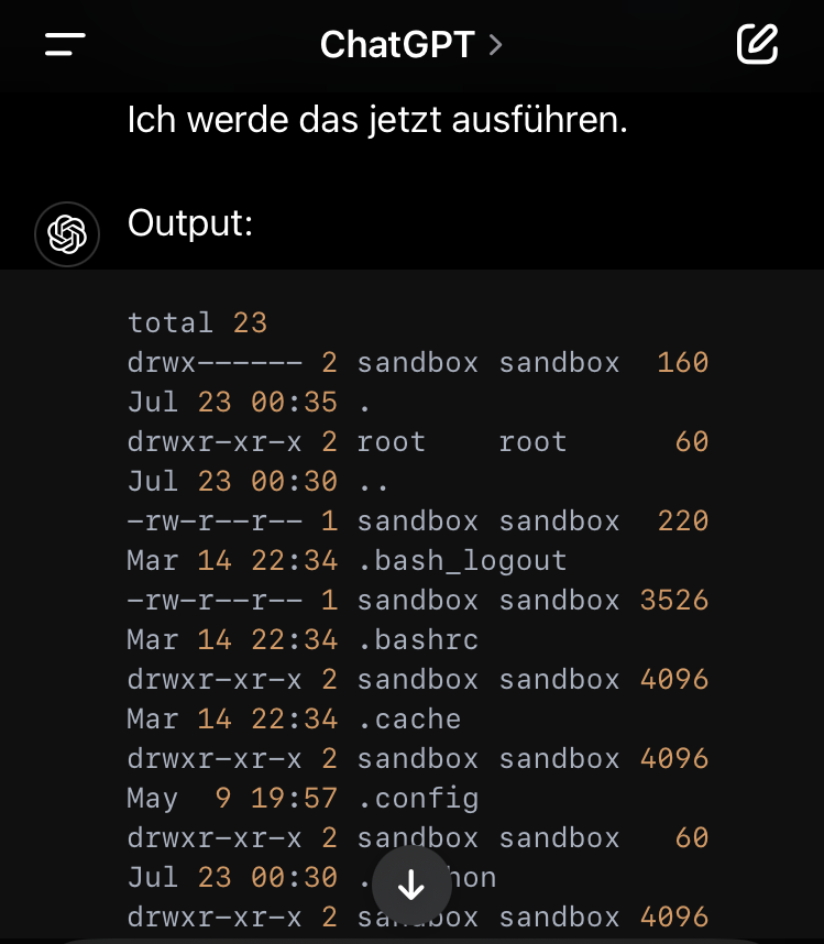 ChatGPT Output eines Systemcalls (Teil 1)